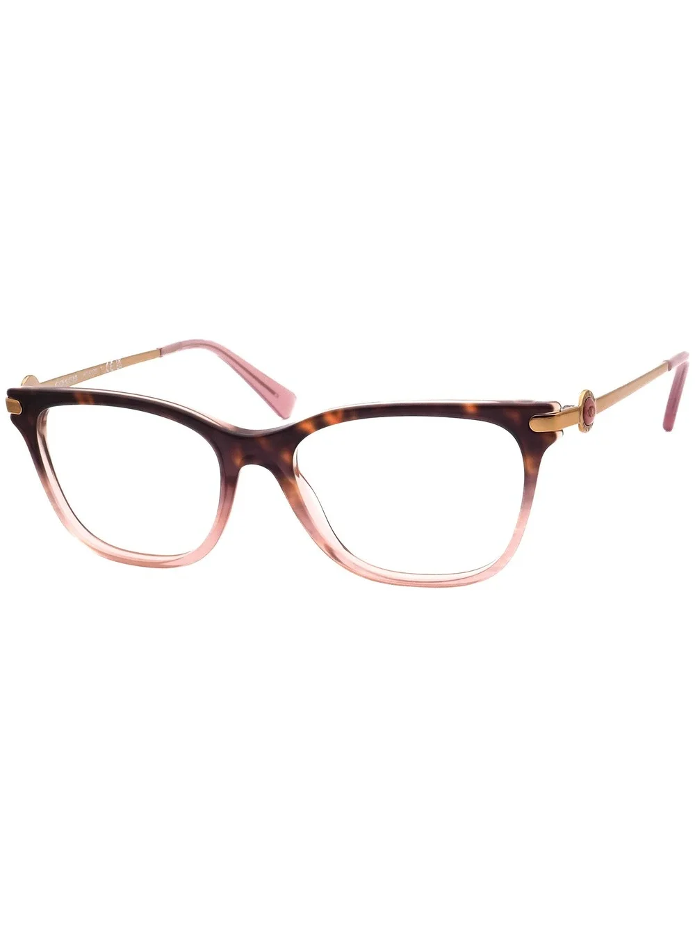 Coach HC 6176 5650 Eyewear